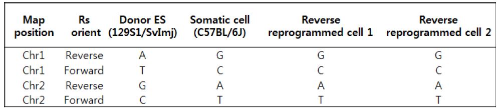 역분화된 세포(Reverse reprogrammed cell 1, 2), 배아섬유아세포(somatic cell), 인공 소포를만든 배아줄기세포(Donor ES)의 DNA지문을 확인. Chromosome 1(chr1)과 chromosome 2(chr2)에서 확인한 DNA 서열은 역분화된 세포와 배아섬유아세포가 일치함.