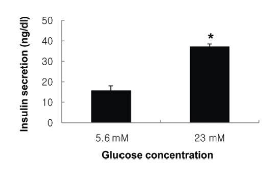 글루코즈 농도별 처리에 따른 인슐린 분비 확인