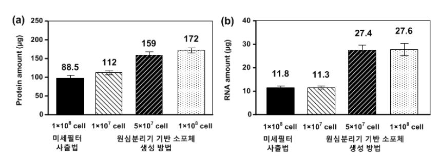 미세필터 사출법과 다양한 세포 농도에서 원심분리기 기반 소포 생성 방법으로 만들어진 인공 소포 내부 물질 비교 그래프. 동일 양(100 μg)의 인공 소포의 내부 (a) 단백질 양 및(b) RNA 양.