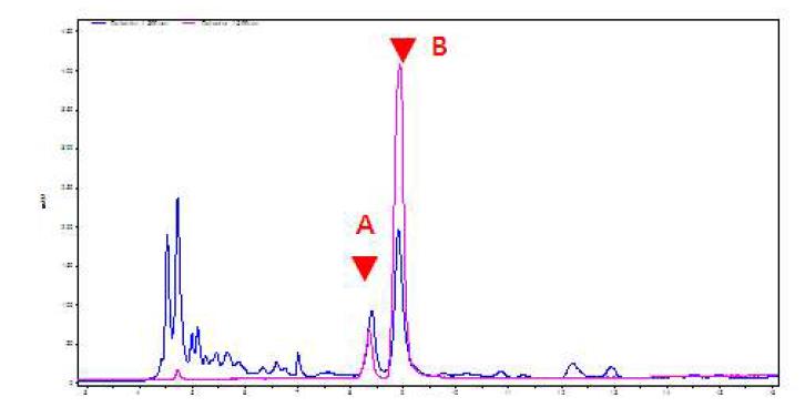 ID1201 내 지표성분 A 및 B 검출 Chromatogram