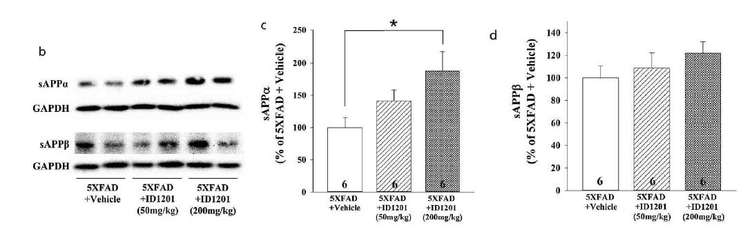5X FAD mice 대뇌피질에서 ID1201 투여에 의한 soluble APPα 생성 증가