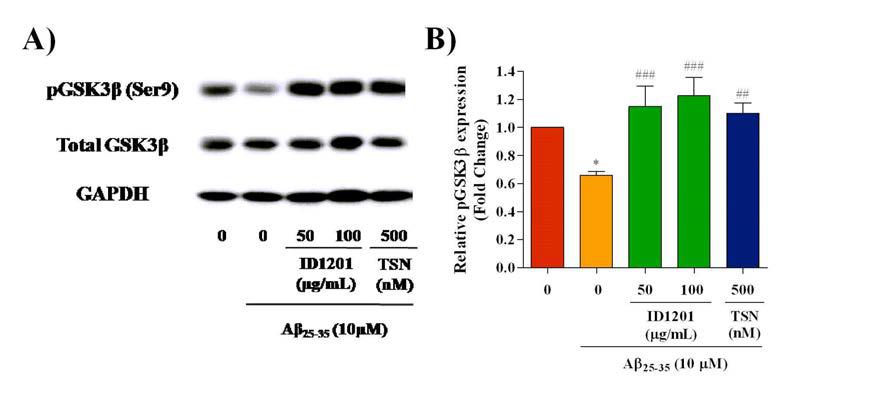 Aβ 처리한 신경세포주에서 ID1201 또는 Toosendanin(TSN) 처리에 의한 GSK3β 인산화 촉진