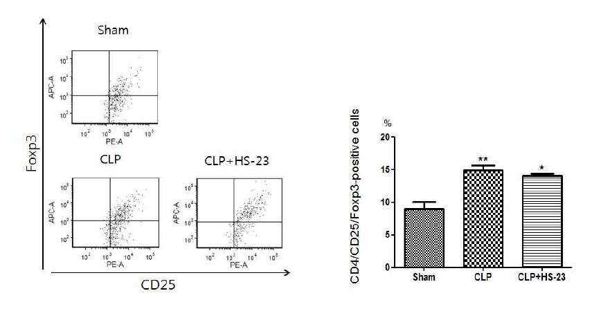 Effect of HS-23 on regulatory T lymphocyte expression in spleen