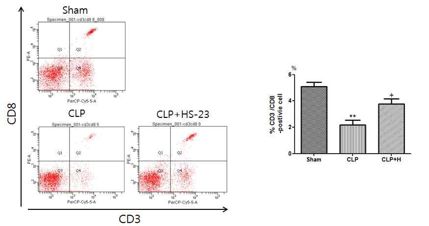 Effect of HS-23 on cytotoxic T lymphocyte expression in spleen