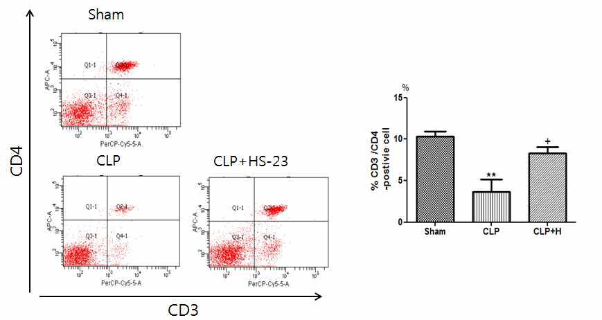 Effect of HS-23 on helper T lymphocyte expression in spleen