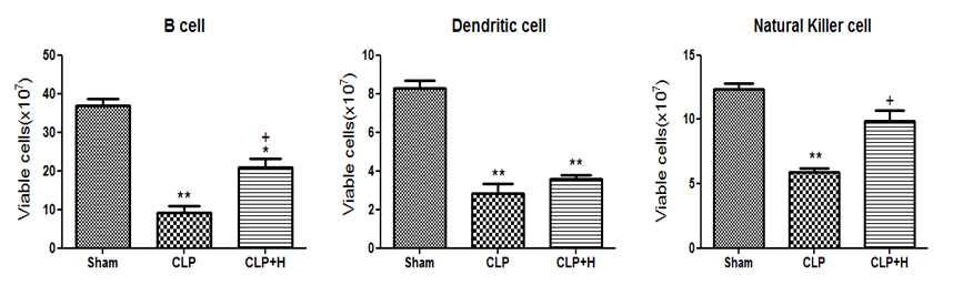 Effect of HS-23 on B cell, dendritic cell and natural killer cell expression in spleen