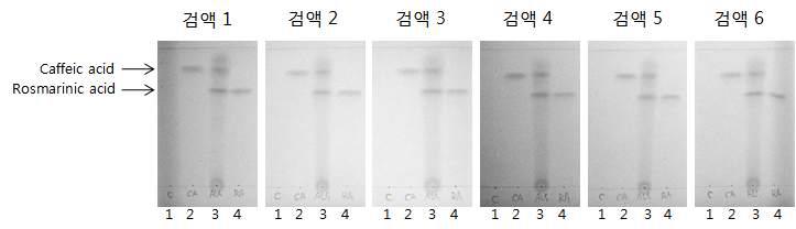 전개용매 A를 이용한 ALS-L1023의 TLC 결과