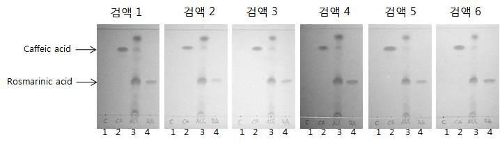 전개용매 A를 이용한 ALS-L1023의 TLC 결과