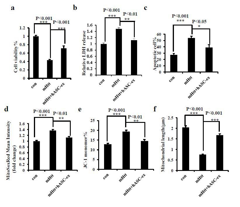 The hASC extract prevent mHtt-induced cell toxicity and mitochondrial dysfunction. N2a cells were transfected with Htt or mHtt, and were treated with 100 g/ml of hASC extract