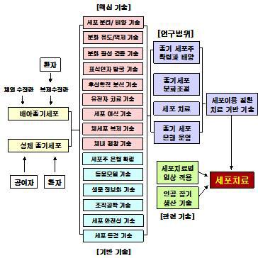 세포치료 연구 관련 기술 체계도