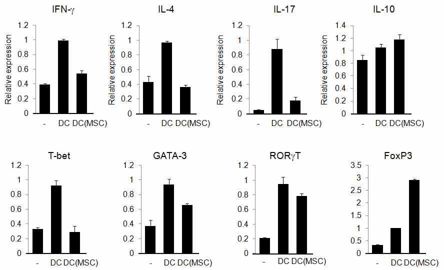 MSC에 의한 DC의 기능조절