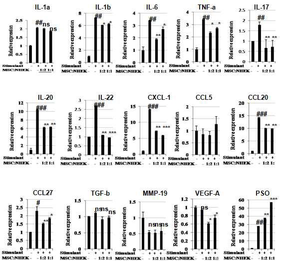 MSC에 의한 활성화된 NHEK에서의 pro-inflammatory mediator의 발현 억제