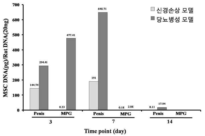 신경손상 발기부전 동물모델과 당뇨병성 발기부전 동물모델간의 음경 및 주골반신경절에서의 MSC DNA 잔존 비교