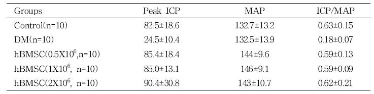 당뇨병성 발기부전 동물모델에서 발기능(ICP/MAP)의 비율