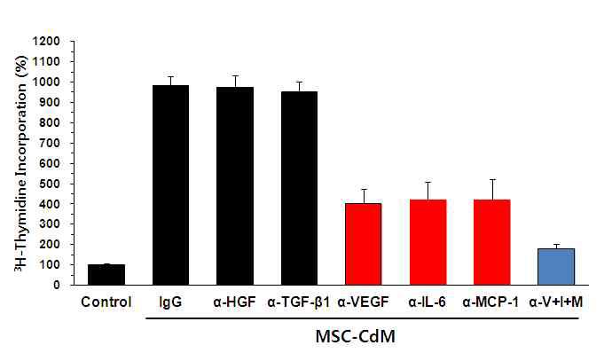 중화항체 전처리 MSC-conditioned medium의 HUVECs proliferation 유도효과