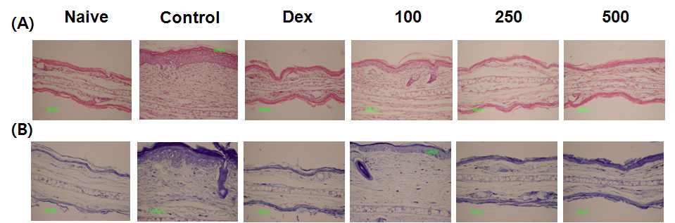 Effects of GST on skin lesions in Passive sensitized mice