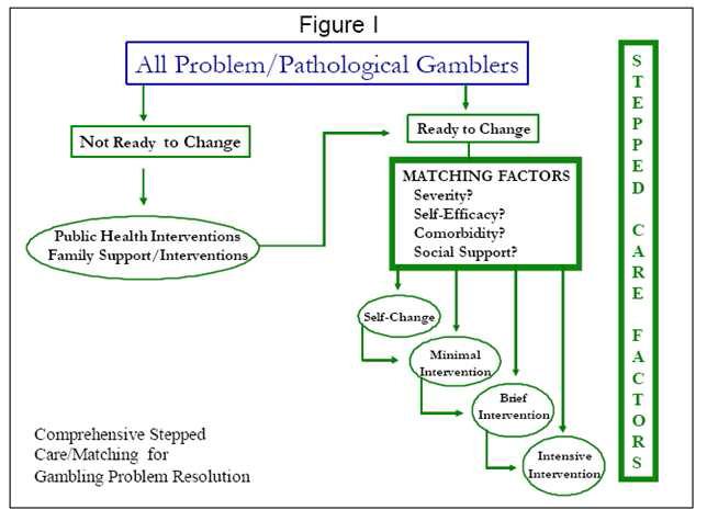 도박중독의 치료에 적용한 Stepped care의 모형