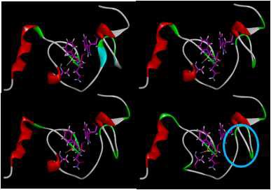 Molecular dynamics를 통해 본 1A1T 구조의 변화