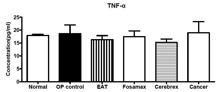 골암통증 모델에서 TNF-α 농도 (정상군, 수술대조군 및 치료제간 비교)