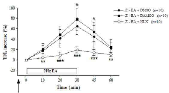Effect of intraperitoneal pretreatment (arrow) of μ-opioid receptor (OR) antagonist naloxone (Z-EA+NLX, 2 mg/kg, n=10) or μ-OR agonist DAMGO (Z-EA+DAMGO, 1 mg/kg, n=10) on the analgesic effects of 2-Hz Zusanli electroacupuncture (Z-EA+DMSO, n=10)