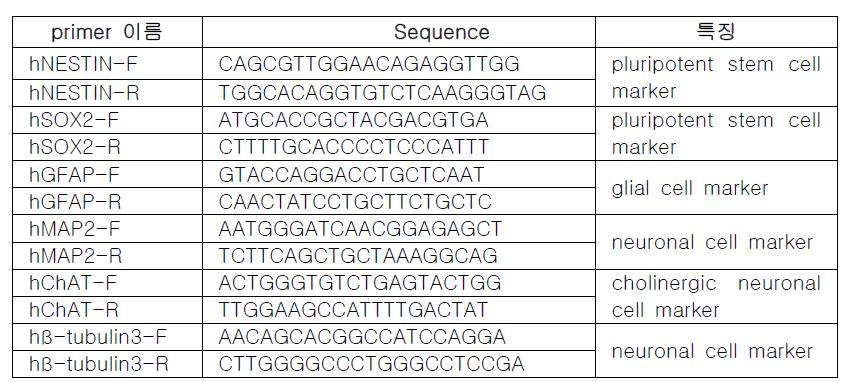 분화, 미분화 마커 프라이머