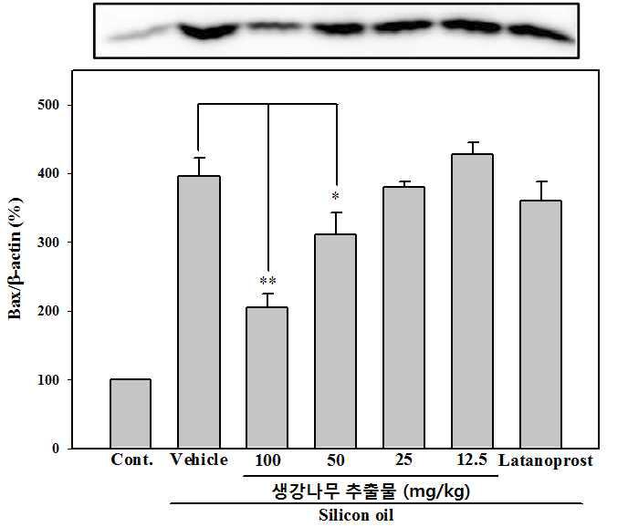 silicon oil 모델에서 생강나무 추출물 투여에 따른 신경발현 및 세포사멸 단백질 회복효과