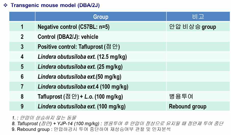 DBA/2J실험그룹의 구성