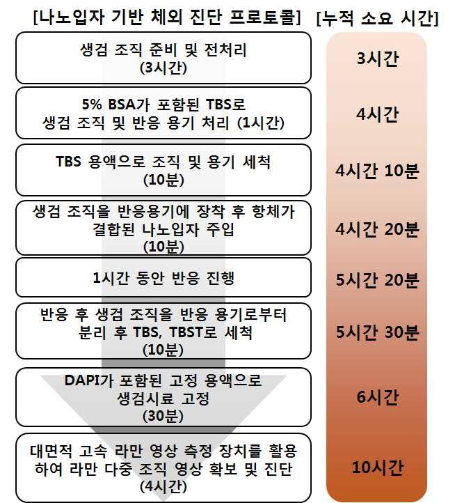 나노입자 기반 체외 진단 프로토콜 흐름도 및 소요 시간