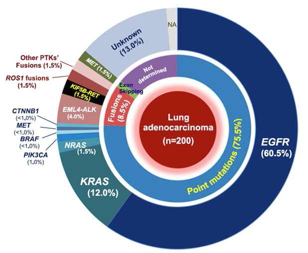 한국인의 폐암에서 driver mutation 비율
