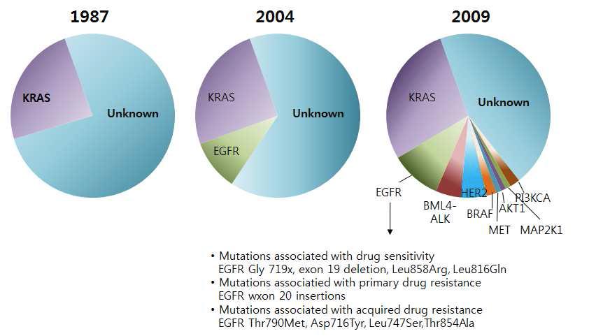 폐선암의 유전자 변이 규명 추이