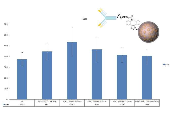 항체 및 라만표지 나노입자의 농도에 따른 크기 분석