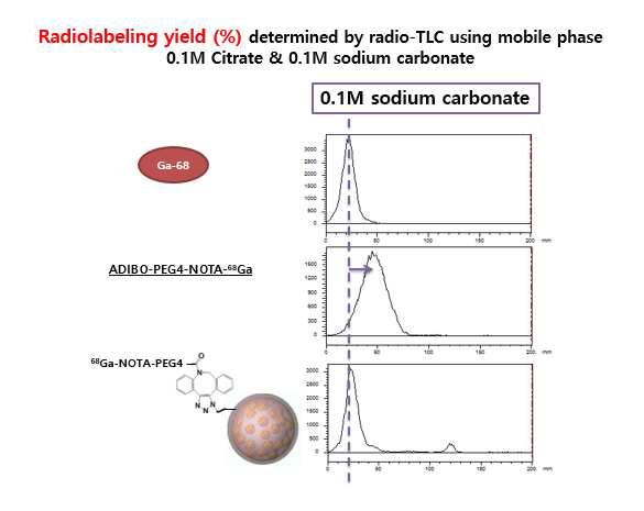 라만표지 나노입자에 항체를 도입하기 위해, 핵의학적 분석방법을 통해 가능성 확인