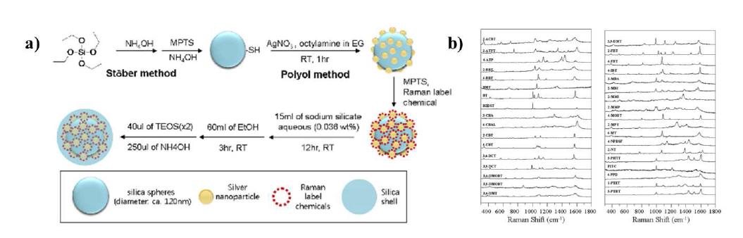 SERS Dot™ 개요. (a) SERS-표지 물질(SERS Dots™) 제작 모식도, (b) 35 종류의 SERS-표지자의 라만스펙트럼