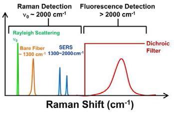 형광-라만 신호 동시 측정을 광영역 설계