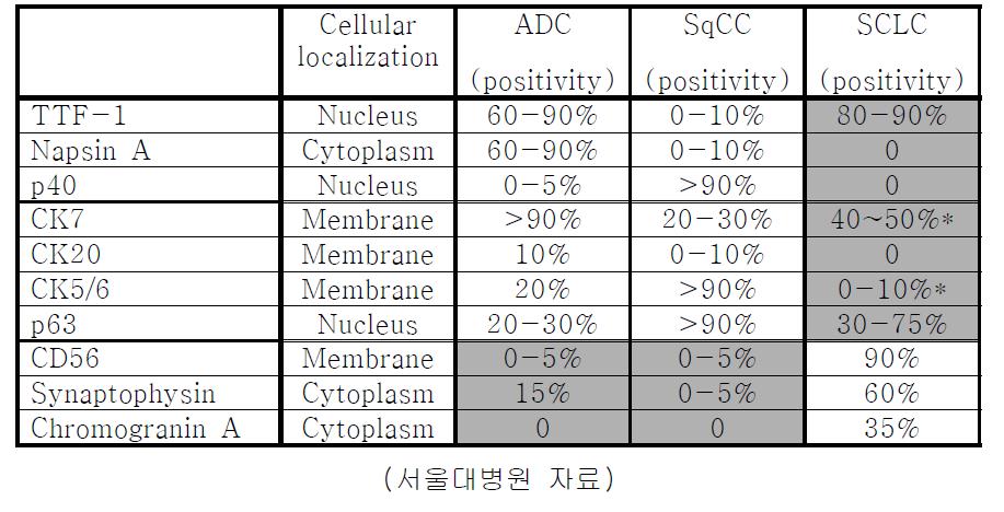 폐암 진단을 위해 사용되는 다양한 면역조직화학염색 (IHC) 발현율