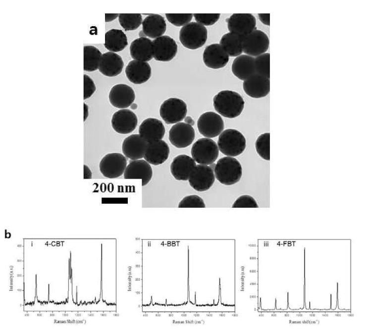 (a) 60 mg scale 라만 나노입자 TEM 사진, (b) 3종 60 mg scale 나노입자 라만신호