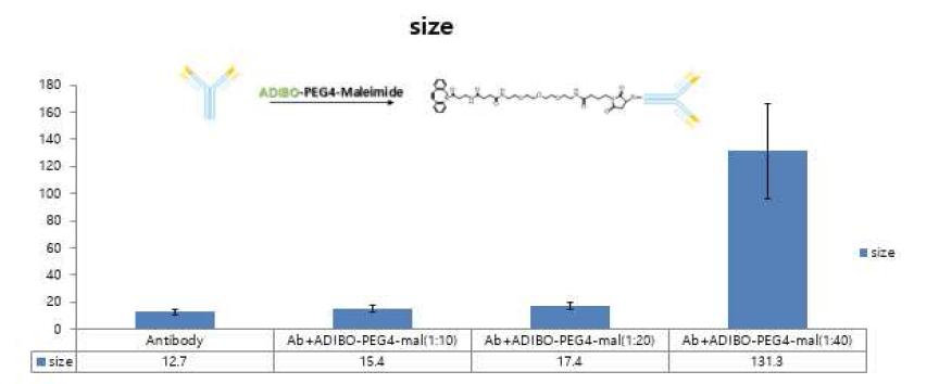 Click chemical 로 개질된 항체의 DLS(Dynamic Light Scattering) 분석결과