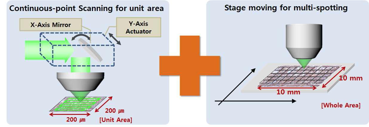 연속적 스캔방식과 단위영역 단위 스테이지 이동 방식을 결합한 대면적 고속라만 영상 기술 개념도