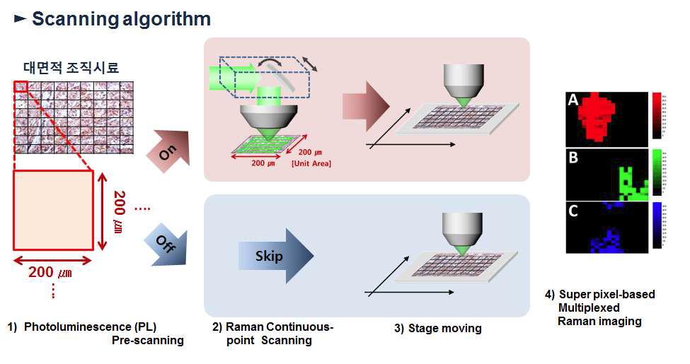 형광 및 라만 신호를 동시에 활용한 대면적 고속 측정 영상 장치의 측정 방식 개념도