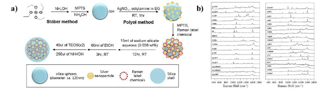 SERS Dot™ 개요. (a) SERS-표지 물질(SERS Dots™) 제작 모식도, (b) 35 종류의 SERS-표지자의 라만스펙트럼