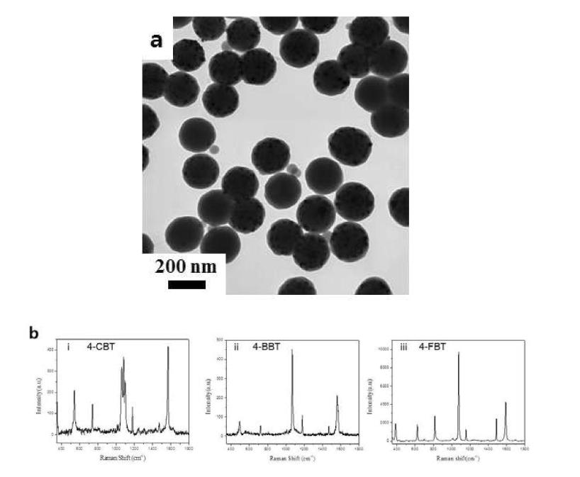 (a) 60 mg scale 라만 나노입자 TEM 사진, (b) 3종 60 mg scale 나노입자 라만신호