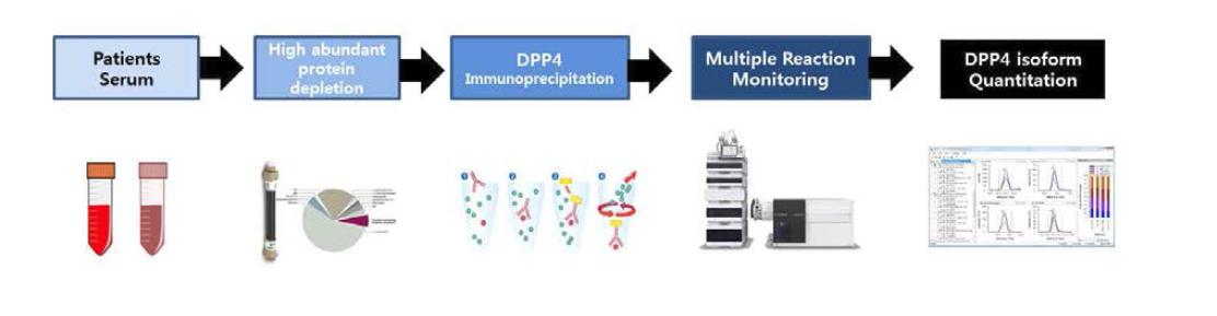 DPP4 isoform 정량 분석을 위한 Workflow