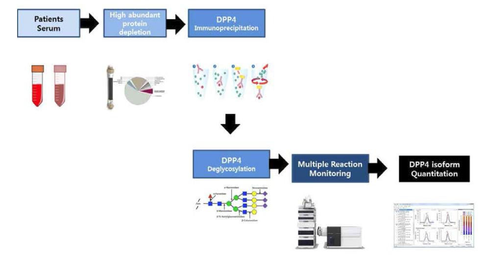 Glycosylated DPP 검출을 위한 Workflow