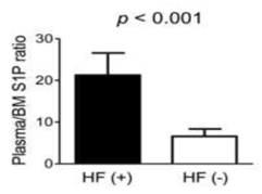 골다공증성 고관절 골절 (HF+) 환자와 대조군 (HF-)에서 혈액 및 골수액의 S1P 농도 비율