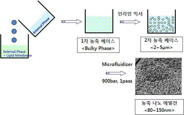 농축나노캡슐 제조 모식도