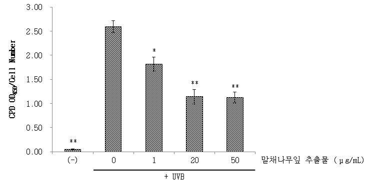 Inhibitory effect of Novozyme hydroxlyzate from Cornus walteri leaves on UVB-induced Cyclobutane pyrimidine dimer (CPD) quantification. Level of CPD was determined using ELISA for HS68 cells. HS68 cells were exposed to UVB radiation and then treated with Novozyme hydroxlyzate from Cornus walteri leaves for 12 h. *: Significant results according to students test (p < 0.05) **: Significant results according to students test (p < 0.01) *p < 0.05, **p < 0.01 compared with the UVB treated group respectively