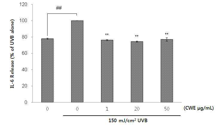 CWE suppressed the secretion of IL-6 in UVB-exposed KeraSkinTM. The protein level of IL-6 was measured by ELISA. KeraSkinTM was incubated with CWE for 12 h, and was exposed to UVB (150 mJ/cm2) before the treatment. *p < 0.05, **p < 0.01 indicate a significant difference form the UVB-exposed control respectively.