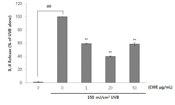 CWE suppressed the secretion of IL-8 in UVB-exposed KeraSkinTM. The protein level of IL-8 was measured by ELISA. KeraSkinTM was incubated with CWE for 12 h, and was exposed to UVB (150 mJ/cm2) before the treatment. *p < 0.05, **p < 0.01 indicate a significant difference form the UVB-exposed control respectively.