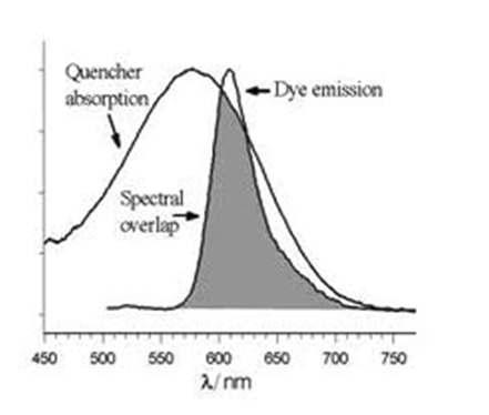 Quencher의 UV spectrum과 안정화 acceptor(ex. 자외선차단제)의 fluorescence spectrum의 ‘the spectral overlap integral