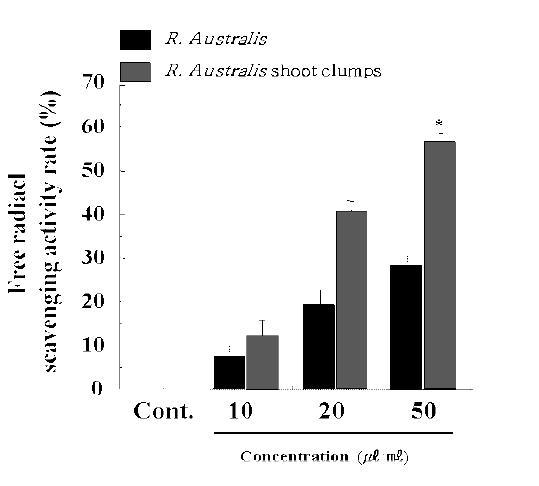 DPPH free radical scavenging activities of extracts from the natural Raoulia australis and the tissue-cultured Raoulia australis shoot clumps.